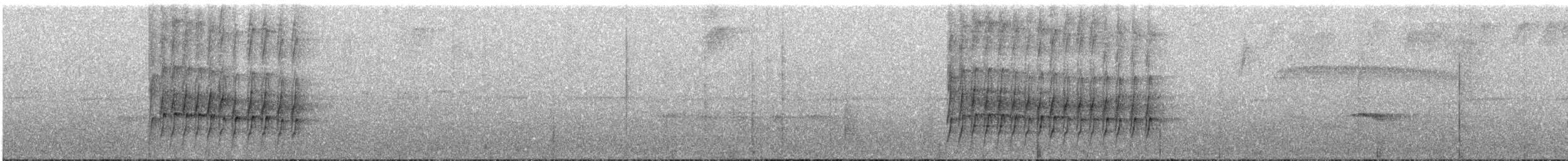 Zeledon Karıncakuşu - ML616819915
