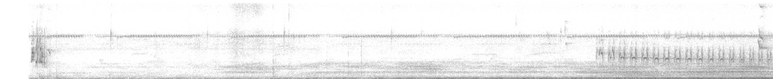 Серогрудый трескунчик - ML616820163