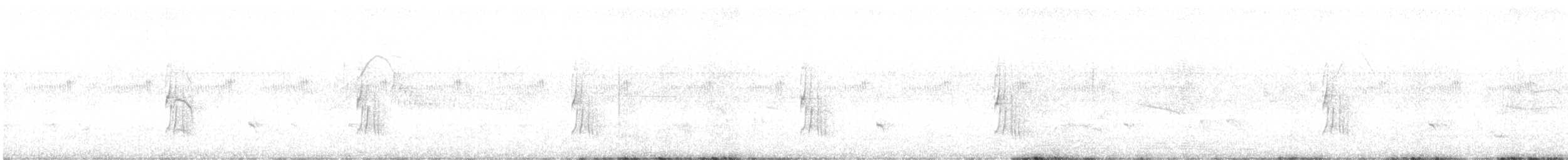 Серогрудый трескунчик - ML616820327