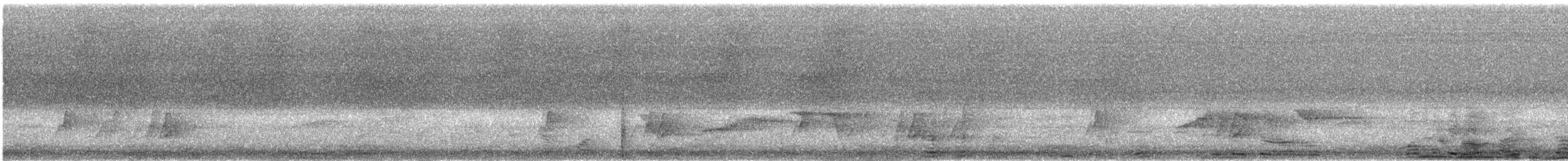 Усатый шелкопёр - ML616821088
