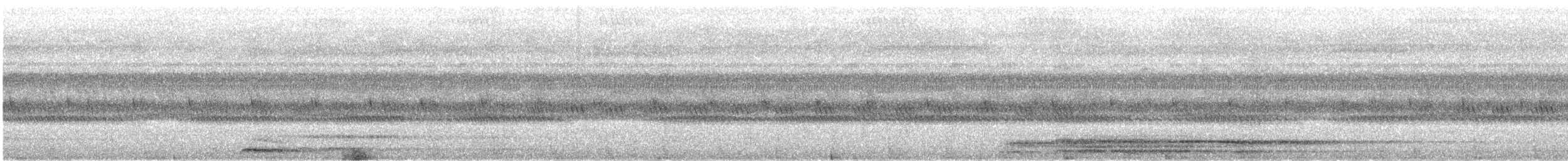 Halsband-Zwergohreule - ML616821146