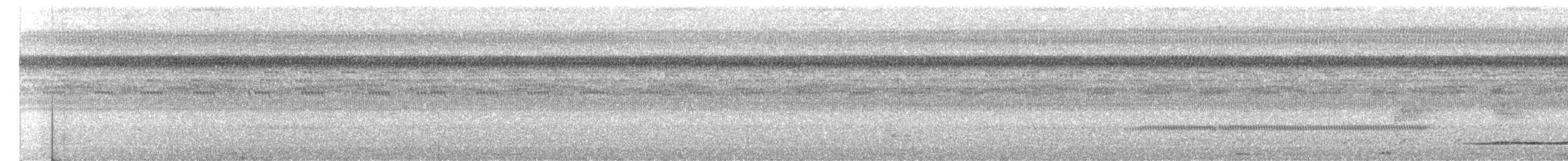Кустарниковый скрытохвост - ML616821551