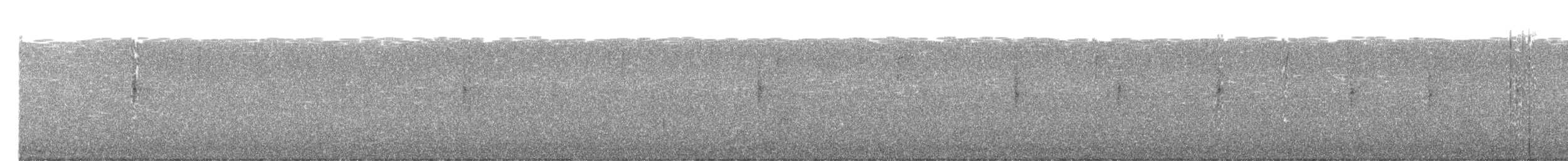 Louisiana Waterthrush - ML616821646