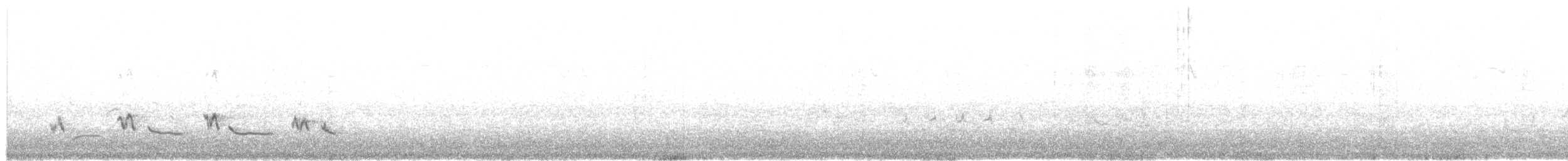 Пересмішник сивий - ML616822442