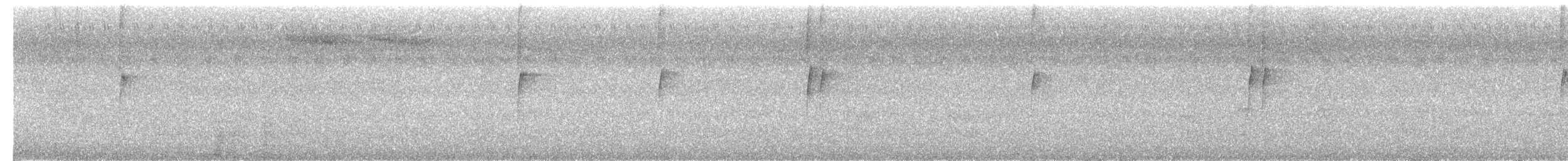 Длиннохвостый колибри-отшельник - ML616823935