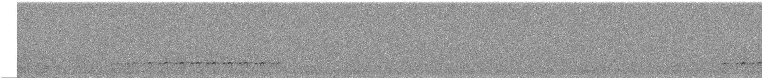 White-breasted Nuthatch - ML616824392