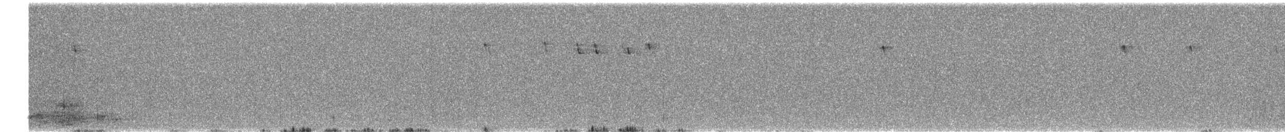 Brown Creeper - ML616824578