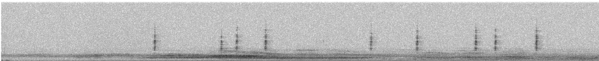 Troglodyte des marais - ML616824697