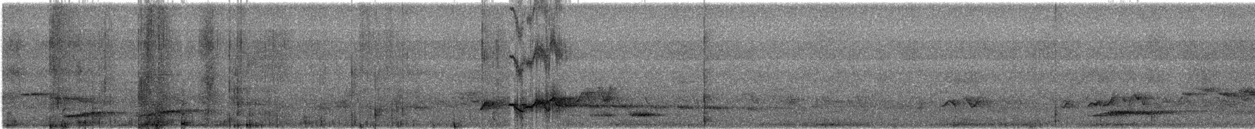 Серый павлиний фазан - ML616825004