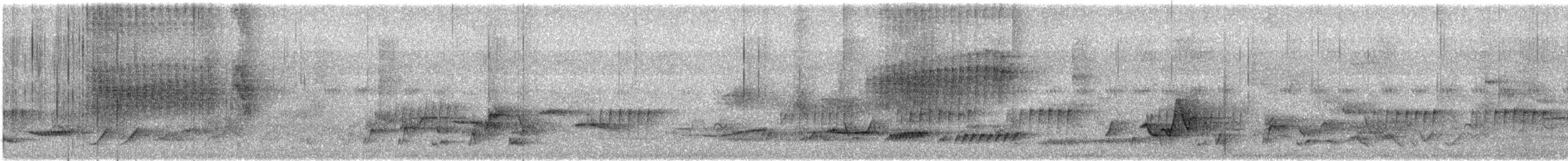 オオヒメコノハドリ - ML616825033