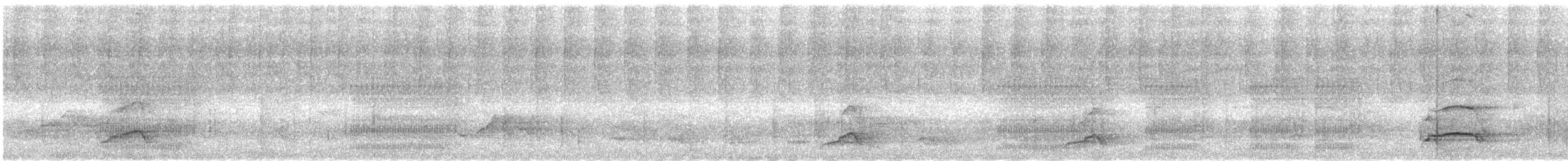 Белолицая птица-носорог - ML616826623
