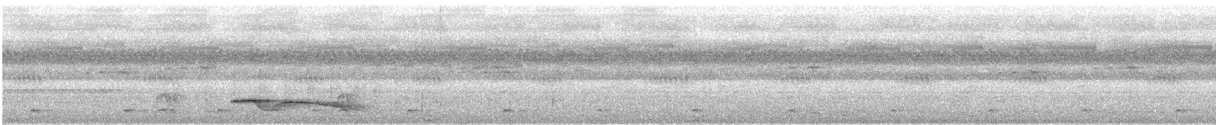 Great Eared-Nightjar - ML616826817