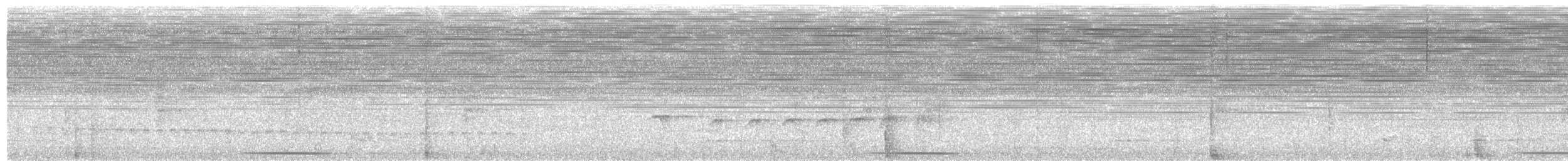 holub šedočelý - ML616827474