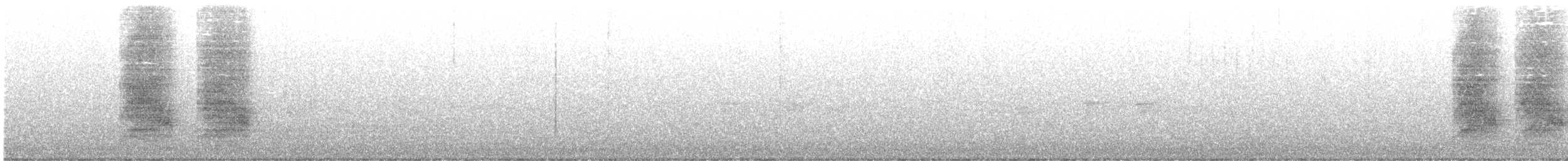 Chara de Steller - ML616830203
