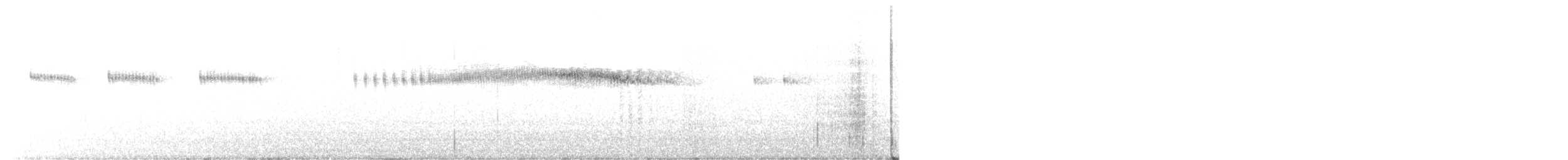 Широкохвостый колибри - ML616832445