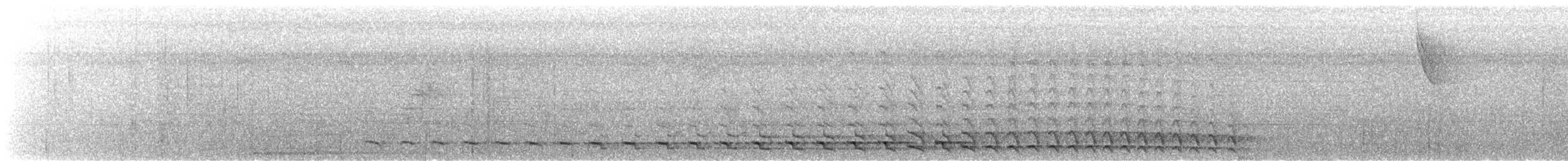 White-tailed Trogon - ML616836618
