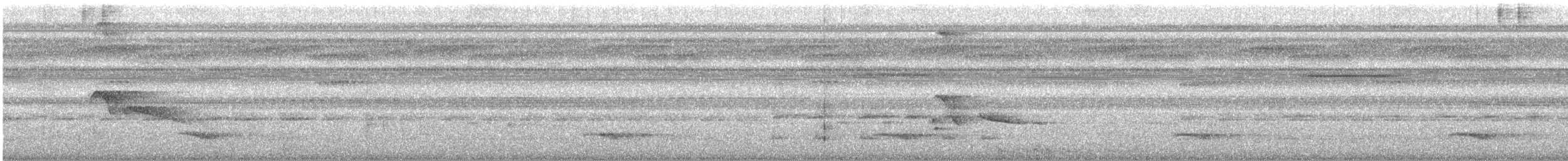 Plumbeous Kite - ML616840624