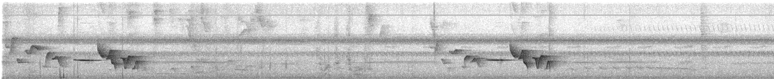 Troglodyte de Sclater - ML616841087