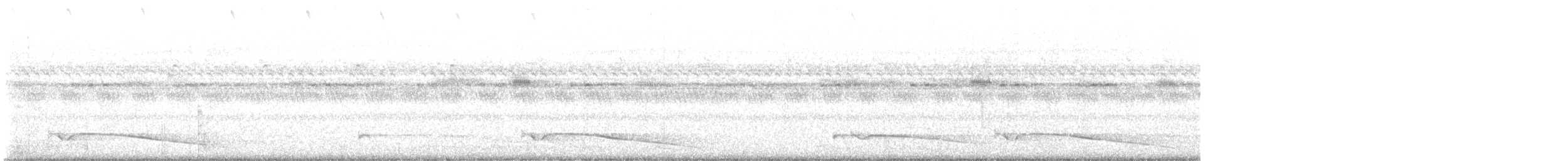 Riesennachtschwalbe - ML616843637
