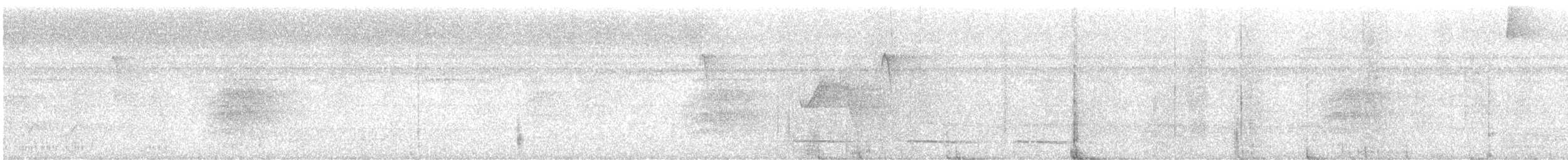 Kuzeyli Kara Gerdanlı Trogon - ML616843827