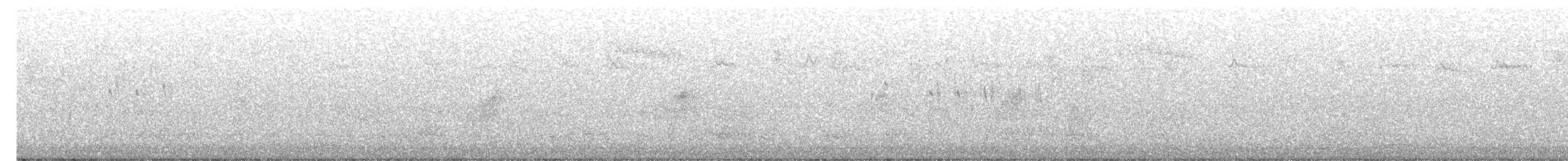 Міагра білогорла - ML616847561