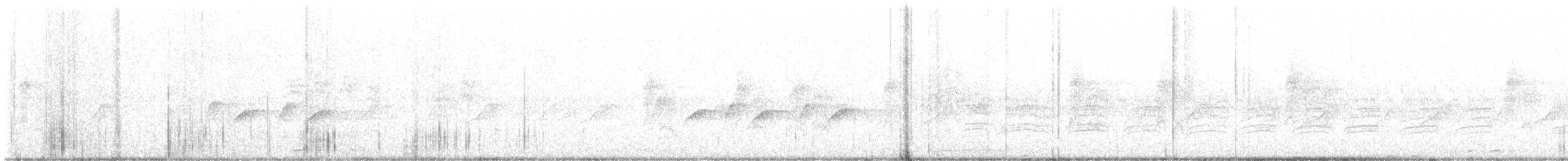 Ak Karınlı Kasapkuşu - ML616850357