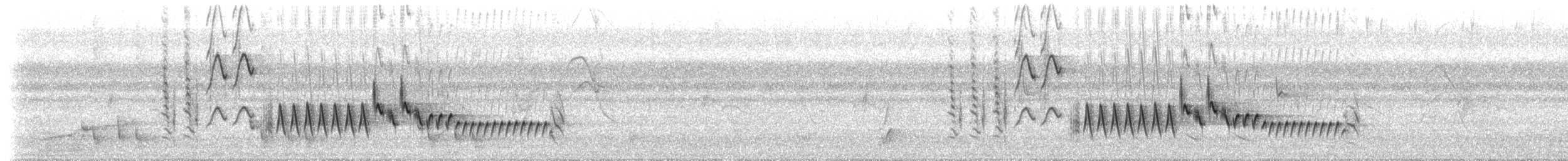 Домовый крапивник [группа musculus] - ML616851301