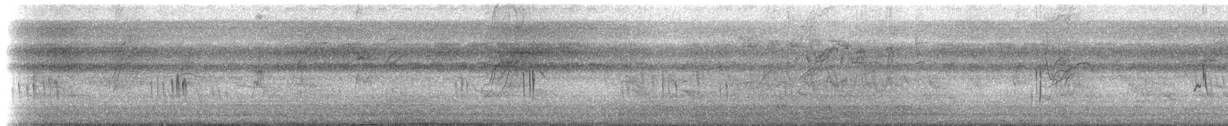 シロオビツバメ - ML616851317