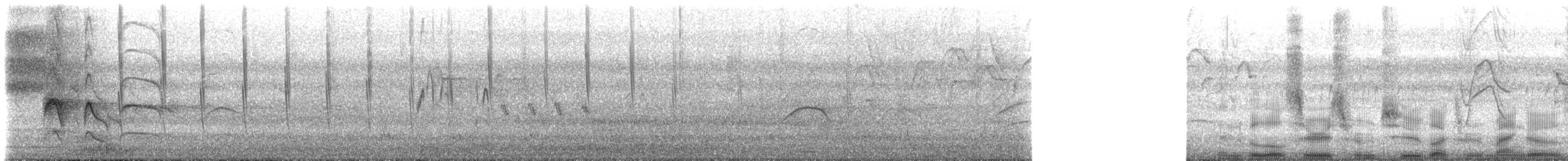 Schwarzbrust-Mangokolibri (nigricollis) - ML616851318