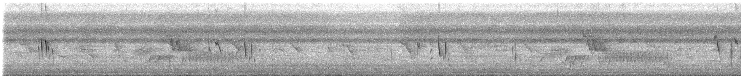White-banded Swallow - ML616851342