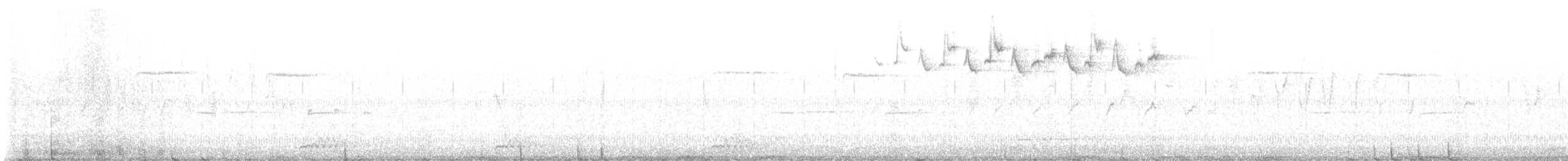 lesňáček černobílý - ML616851441