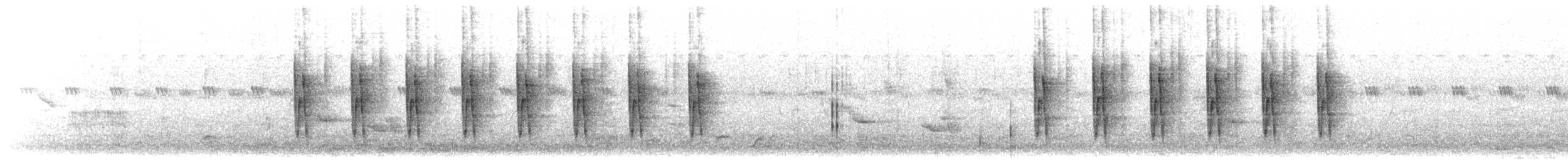 pěnicovec krátkoocasý [skupina brachyura] - ML616852784