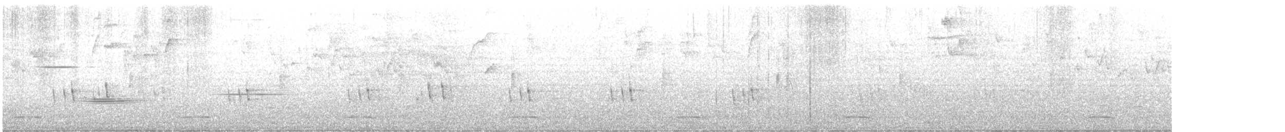 セアカウズラバト - ML616852967