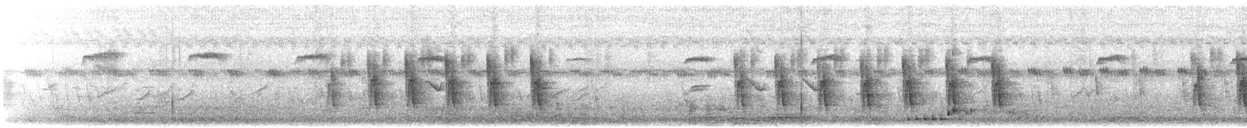 pěnicovec krátkoocasý [skupina brachyura] - ML616853758