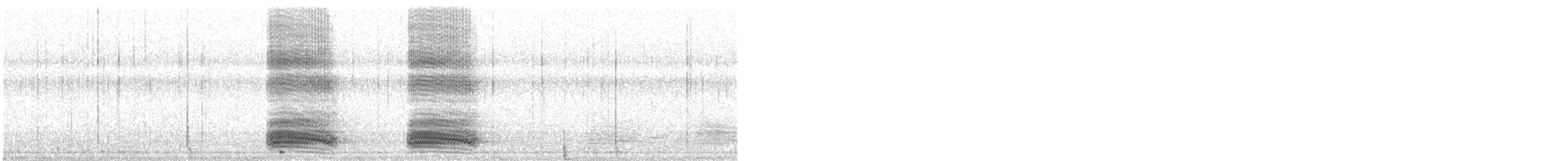 svartkråke (corone) - ML616855996