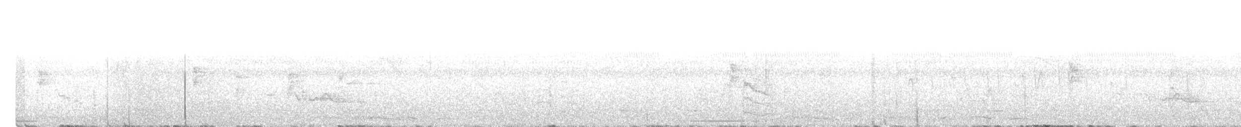 Голуб коста-риканський - ML616857153
