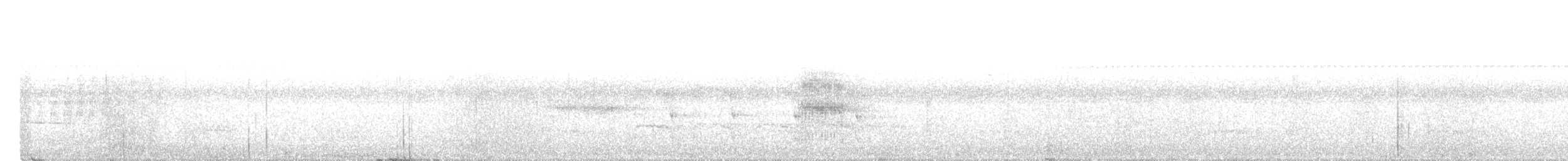 svartkronet hvitbukpapegøye - ML616857248