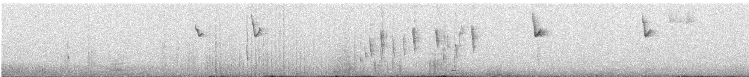 Conirostre géant - ML616857532