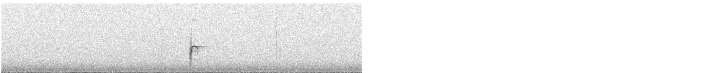 Pisaka tinamua - ML616857603