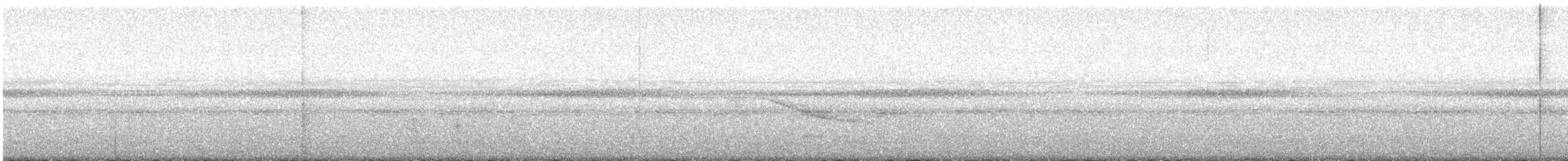 Weißschwanz-Nachtschwalbe - ML616857766