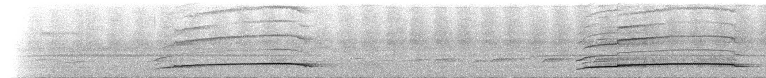 Синеголовый зимородок (capucinus) - ML616862103