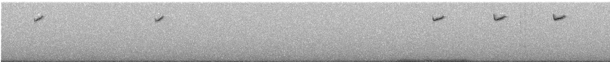 kalypta vulkánová - ML616862515