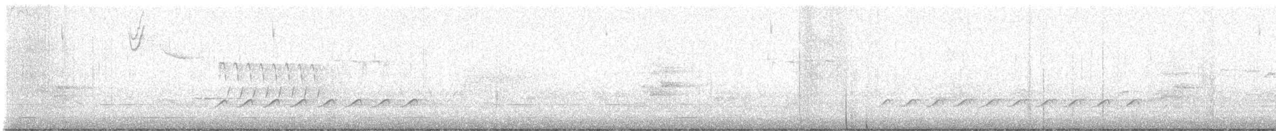 Weißbrustkleiber (aculeata/alexandrae) - ML616863272