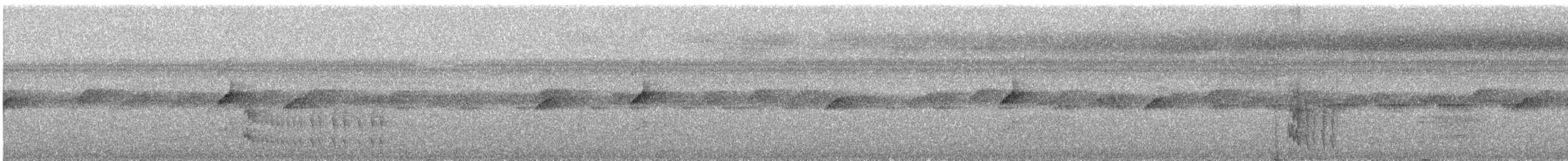 Ошейниковый трогон - ML616865035