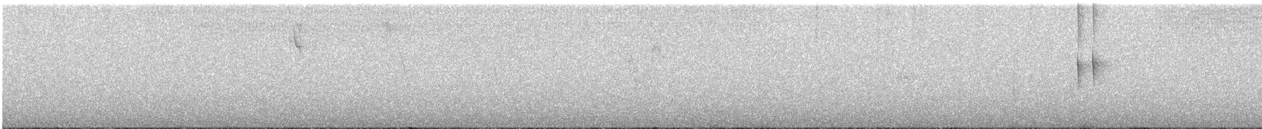 Brown Inca - ML616868915