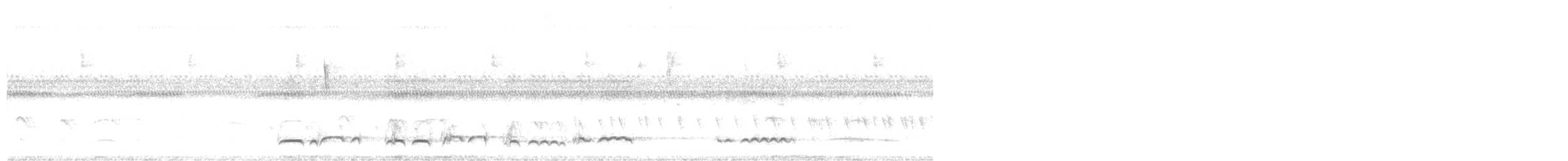 White-eared Puffbird - ML616871791