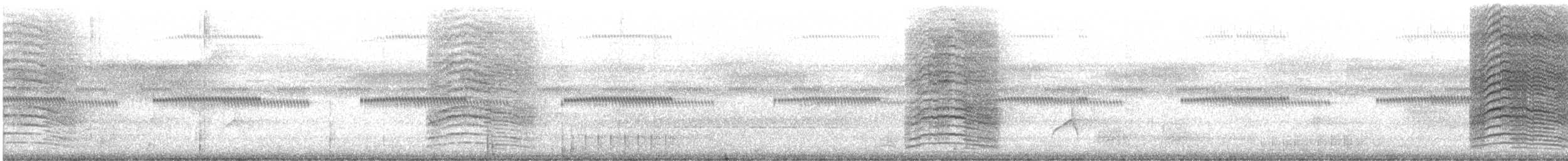 Пересмішник сірий - ML616872569