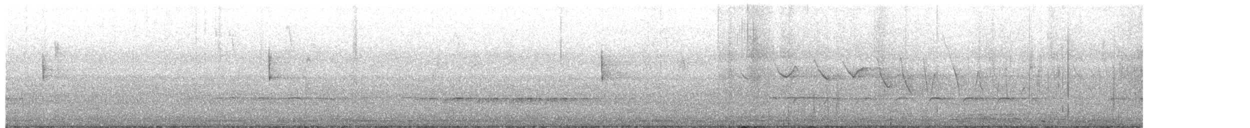 Louisiana Waterthrush - ML616873449