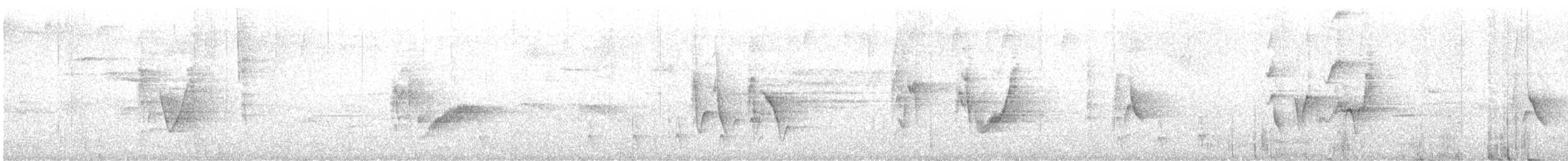 Віреон коста-риканський - ML616880499