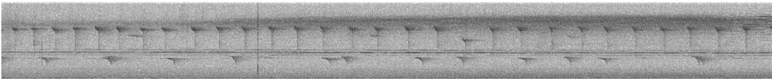 Weißstreif-Kleintyrann - ML616882622